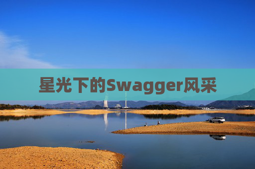 星光下的Swagger风采