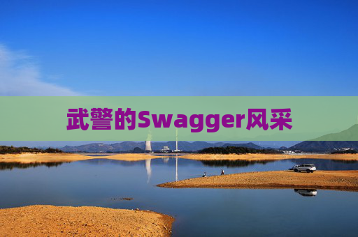 武警的Swagger风采